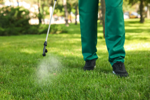 Best Local Pest Control Services  in Strawberry Plains, TN