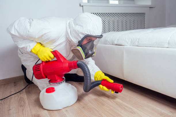 Best Affordable Pest Control Services  in Strawberry Plains, TN