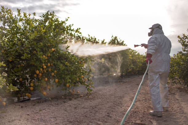 Best Ant Control Services  in Strawberry Plains, TN