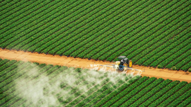 Insect Control in Strawberry Plains, TN