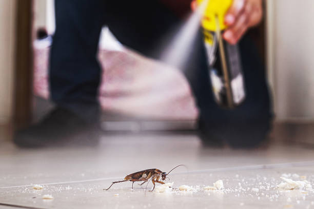 Best Cockroach Control Services  in Strawberry Plains, TN